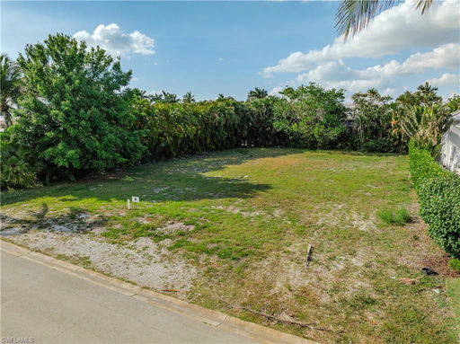 Media Image 3