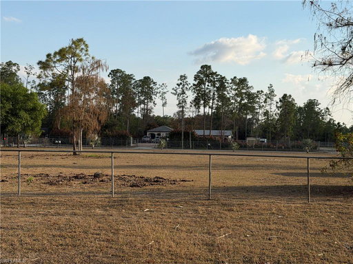Media Image 3