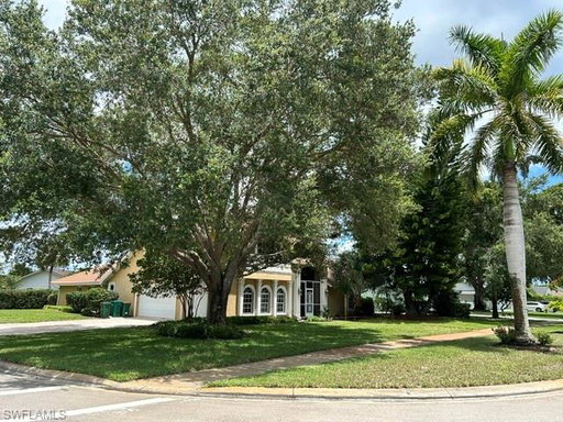 Media Image 3