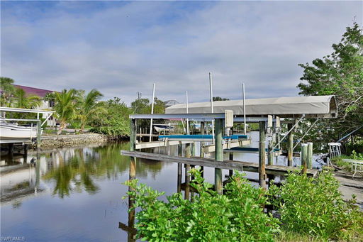 Media Image 2