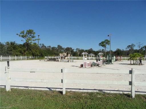 Media Image 2