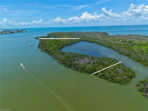 Media Image 2