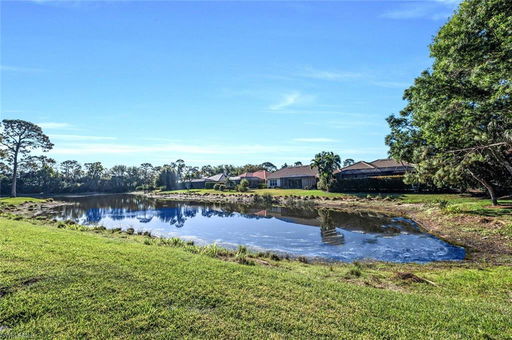 Media Image 2