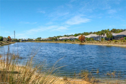 Media Image 2