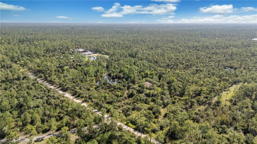 Media Image 3