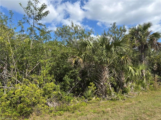 Media Image 3