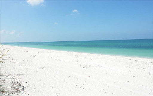 Media Image 3