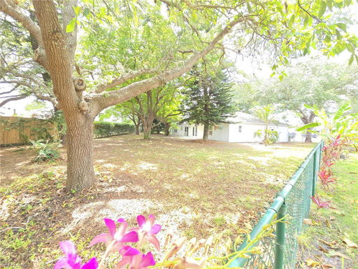 Media Image 3