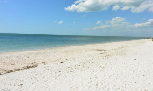 Media Image 3