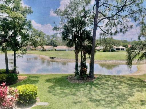 Media Image 3