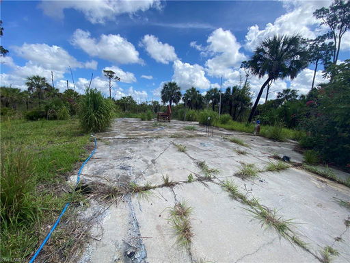 Media Image 2