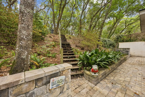 Media Image 3