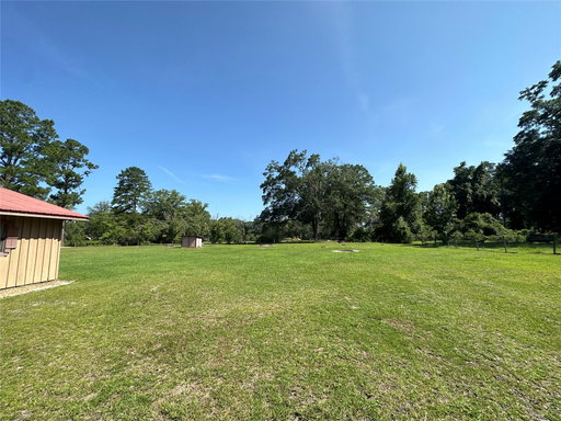 Media Image 2