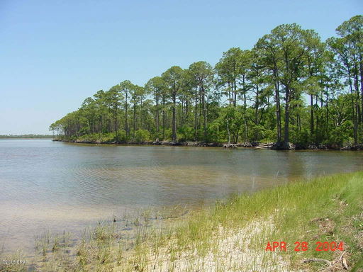 Media Image 2