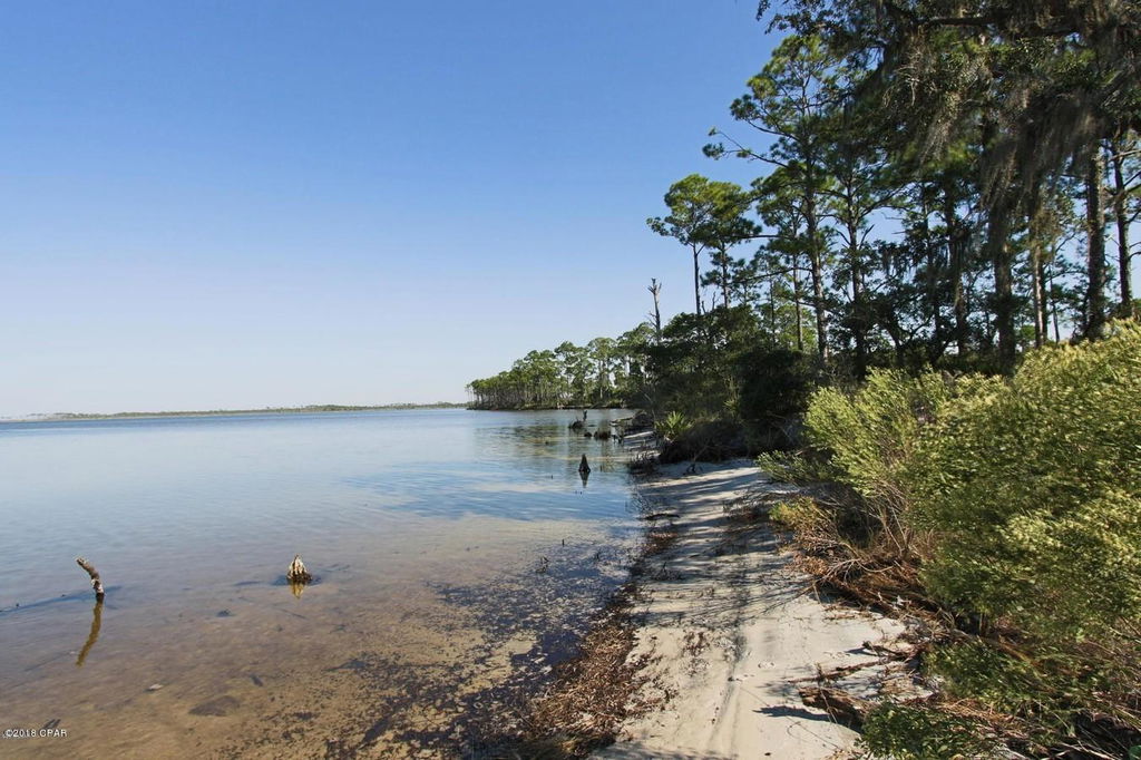 Media Image 1