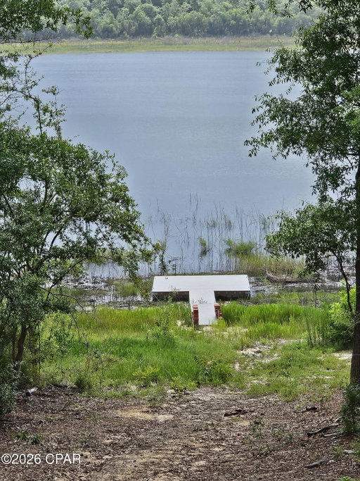 Media Image 3