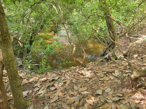 Media Image 2