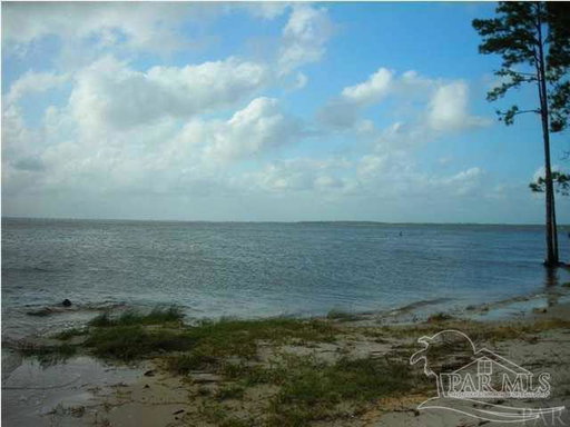 Media Image 2
