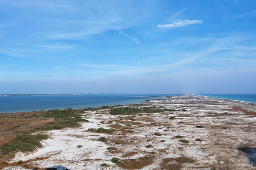 Media Image 3