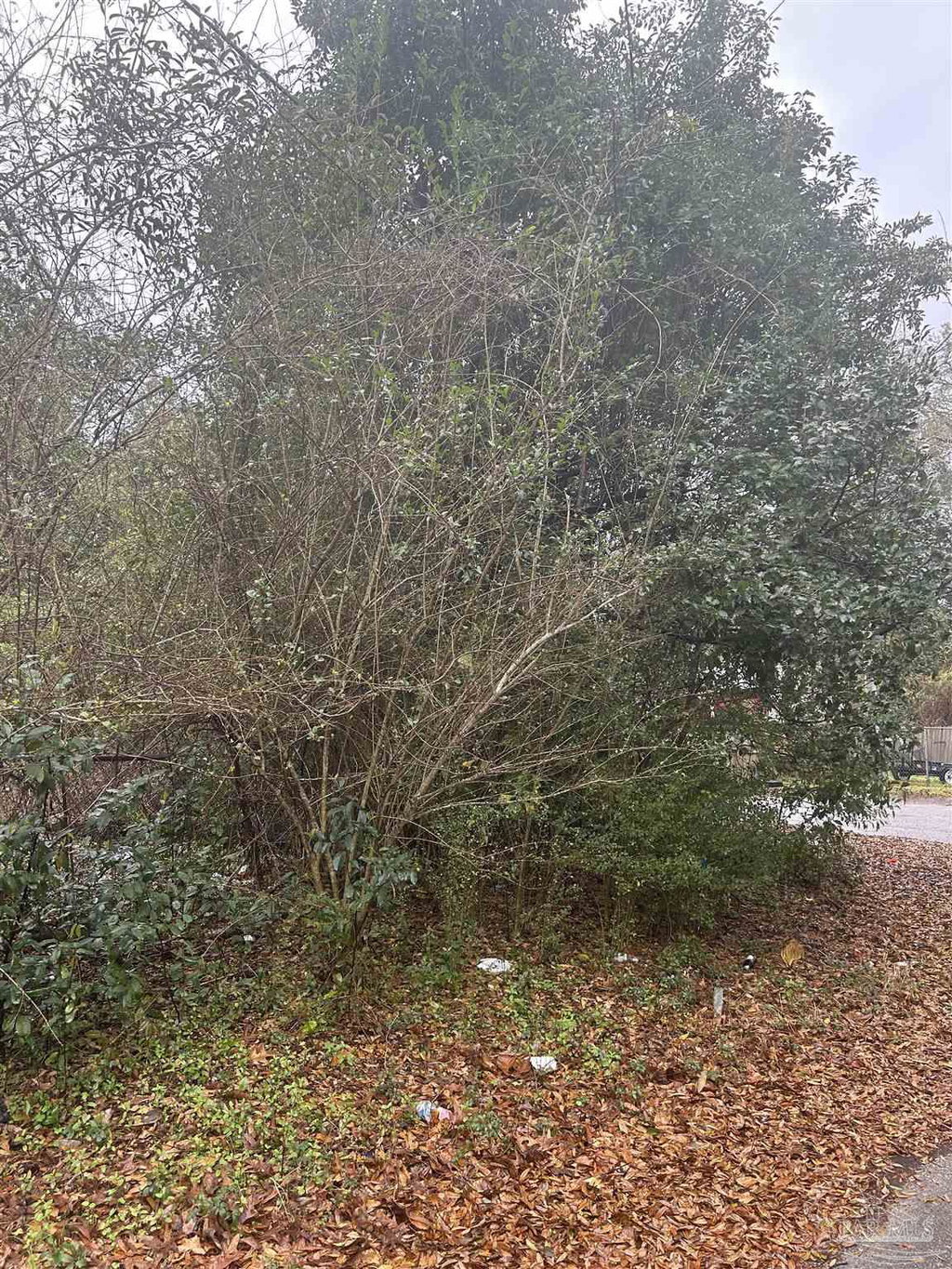 Image Unavailable