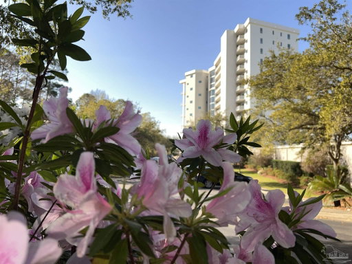 Media Image 2