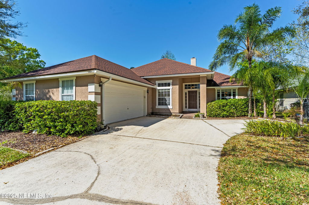 Media Image 1