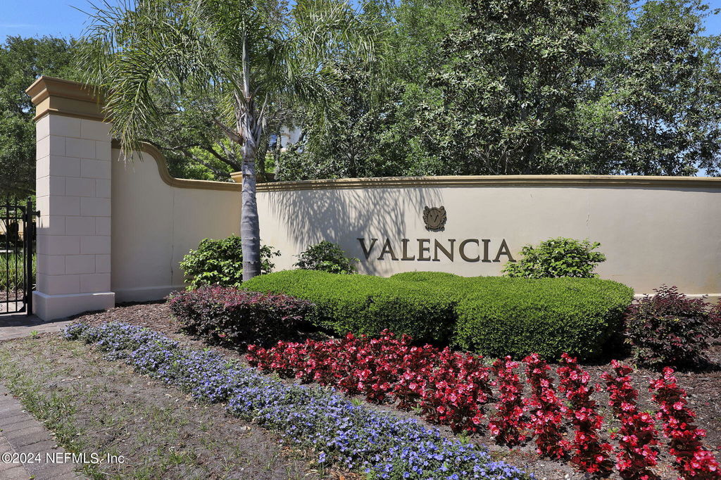 Media Image 1