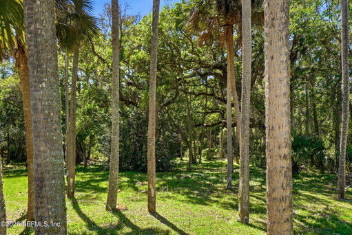Media Image 3