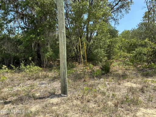 Media Image 2