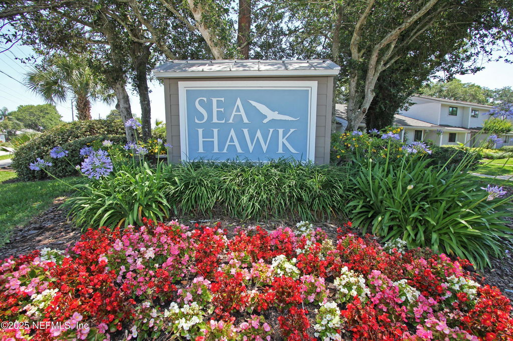 Media Image 1