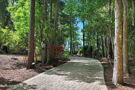Media Image 3