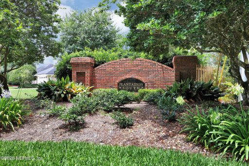 Media Image 3