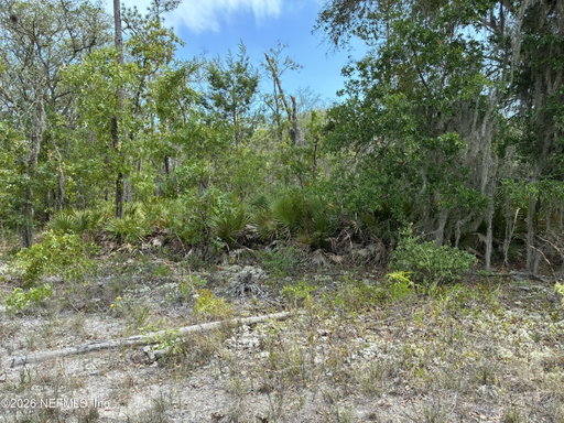 Media Image 3