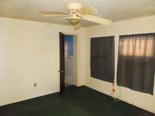 Media Image 3