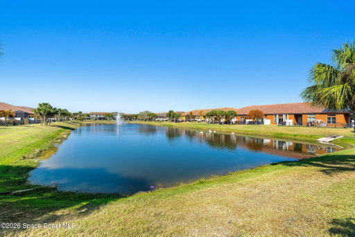 Media Image 3