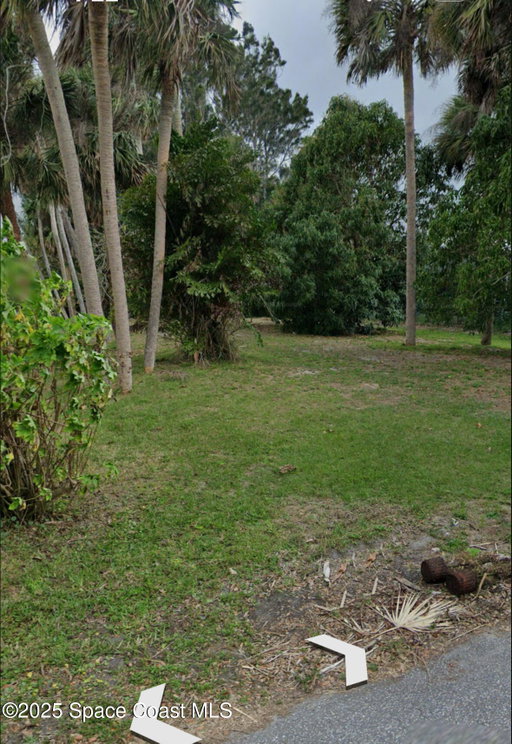 Media Image 3