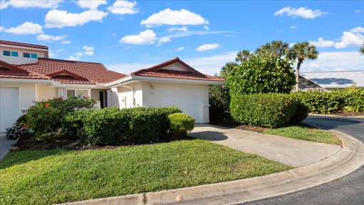 Media Image 3