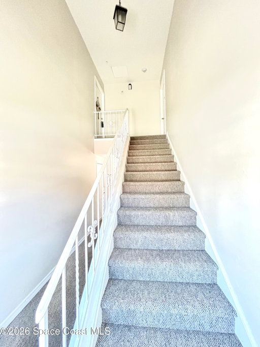 Media Image 2