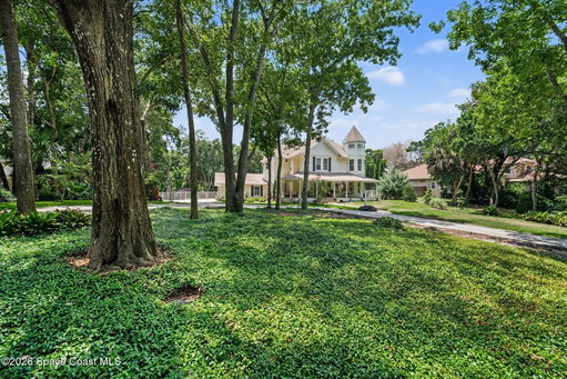 Media Image 3