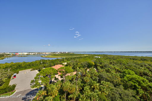 Media Image 3