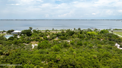 Media Image 2