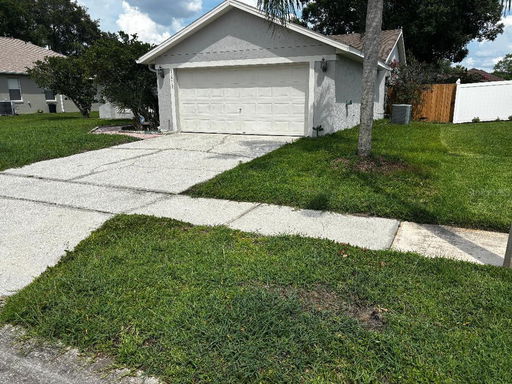 Media Image 2