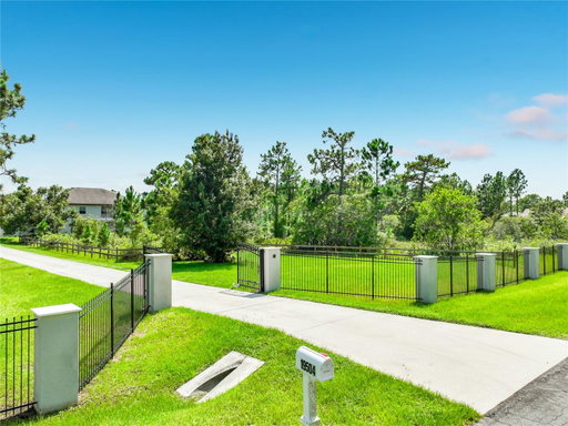 Media Image 2