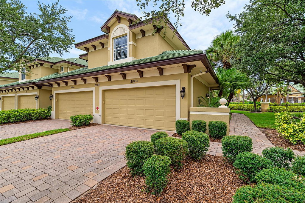 Media Image 1