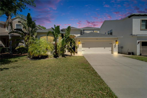 Media Image 2