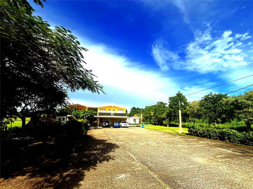 Media Image 2