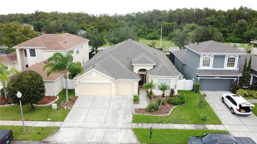 Media Image 2