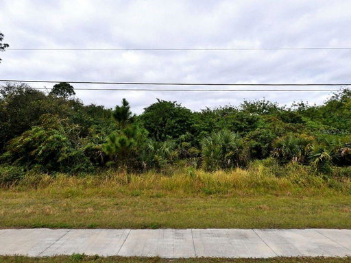 Media Image 2