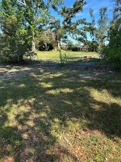 Media Image 2