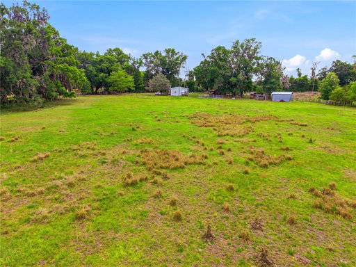 Media Image 3